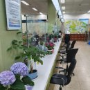 장기본동행정복지센터 이미지