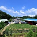 화암농장 이미지