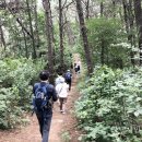 진위거북이주유소 | &#34;평택섶길, ‘진위현길’을 걷다&#34;
