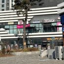 초록도마뱀 이미지