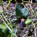 여주-0301 이미지