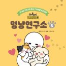 멍냥펫