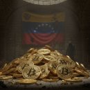 골든바나나소프트 이미지