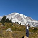시애틀공원 | 미국 국립공원 추천 시애틀 마운트 레이니어 당일치기 여행 야생동물 후기