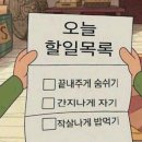 푹빠짐스피닝 | [My pregnancy diary] 외국인 임신일기 30주차~31주차 - 코베 베이비페어/이케아 방문