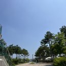 세종호수공원 제1주차장 | [세종 추억 기록] 세종 호수공원 피크닉 + 포레스트 오늘숲 쌀국수 맛집