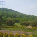 미곡리 이미지