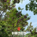 힐링주유소 화장실 | 경기도 양평 비룡숲캠핑장에서 즐긴 자연 힐링 캠핑 후기