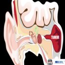성종섬유 이미지