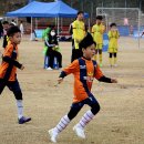 청양공설운동장 이미지