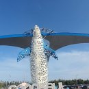 멍 때리는 전망대 이미지