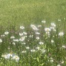 청소년심리상담사 이미지