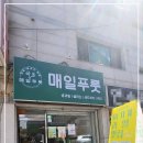 매일푸룻 네이버블로그