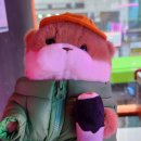 짱 뽑기샵 이미지