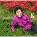 시립도서관 앞 이미지