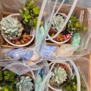 마전초교병설유치원 이미지