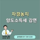 세무회계율담