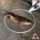 [대구/하빈맛집] 할매 원조 자연산 메기매운탕 자연산 쏘가리맛집