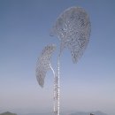 노랗노랗