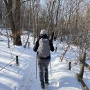 곰배령새소리 이미지