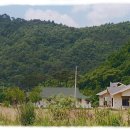 반딧불민박 이미지