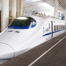 신 황룡 이미지