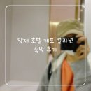 호텔컬리넌 개포 | 양재 호텔/ 일원동 개포 컬리넌 숙박 후기