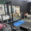 체형&채형 이미지