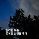보홀 반딧불투어 현지 예매 가격 시간 동선 후기 팁
