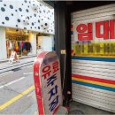 로데오 이미지