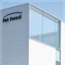 포레스트 펫 이미지