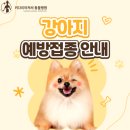 키다리아저씨동물병원