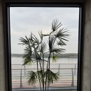 당거리 쉼터 이미지