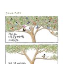 쏘울메이트 이미지