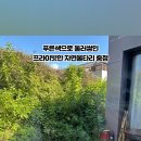 욜로올레제주 이미지