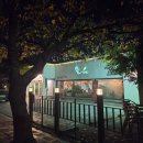 뜰아래 대화 | 행궁동대형카페 팔달산카페 - 초록초록 식물원 같은 분위기의 '뜰리저브' 행궁동주차가능카페