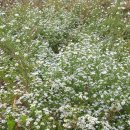 까치부동산중개사무소 이미지