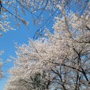 김포농협 하나로마트 이미지