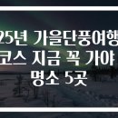 대청봉민박 | 2025년 가을단풍여행 추천코스 지금 꼭 가야 할 명소 5곳