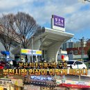 부전인삼시장 | 부산 전통시장 추천, 부전시장 인삼 가격과 시장 구경 후기