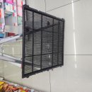 천제등로 이미지