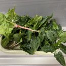 솔밭농장 이미지