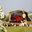 여주-0506 이미지