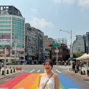 대만여행/내돈내산 예스폭지 버스투어, 해열루경관차방 예약 추천이유/지우펀에서 하룻밤 그리고 아침