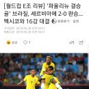 '파울리뉴 결승골' 브라질, 세르비아에 2-0 완승...멕시코와 16강 대결 이미지