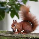 자연요양병원 이미지