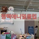 평택애니멀클럽 | 평택 애니멀클럽 실내동물원 후기｜아이랑 가볼만한곳 (먹이체험 꿀잼)