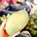 알찬농장 이미지