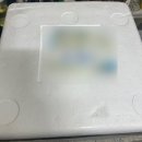 더품 | 품담식품관 조미료 없는 자취생 김치 추천 더품담 고랭지 김치 후기