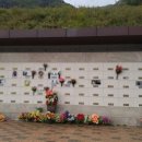 펫토피아 이미지